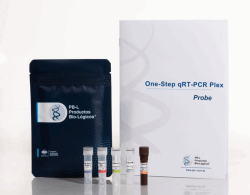 Onestep qRT-PCR plex