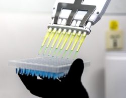 Onestep qPCR color